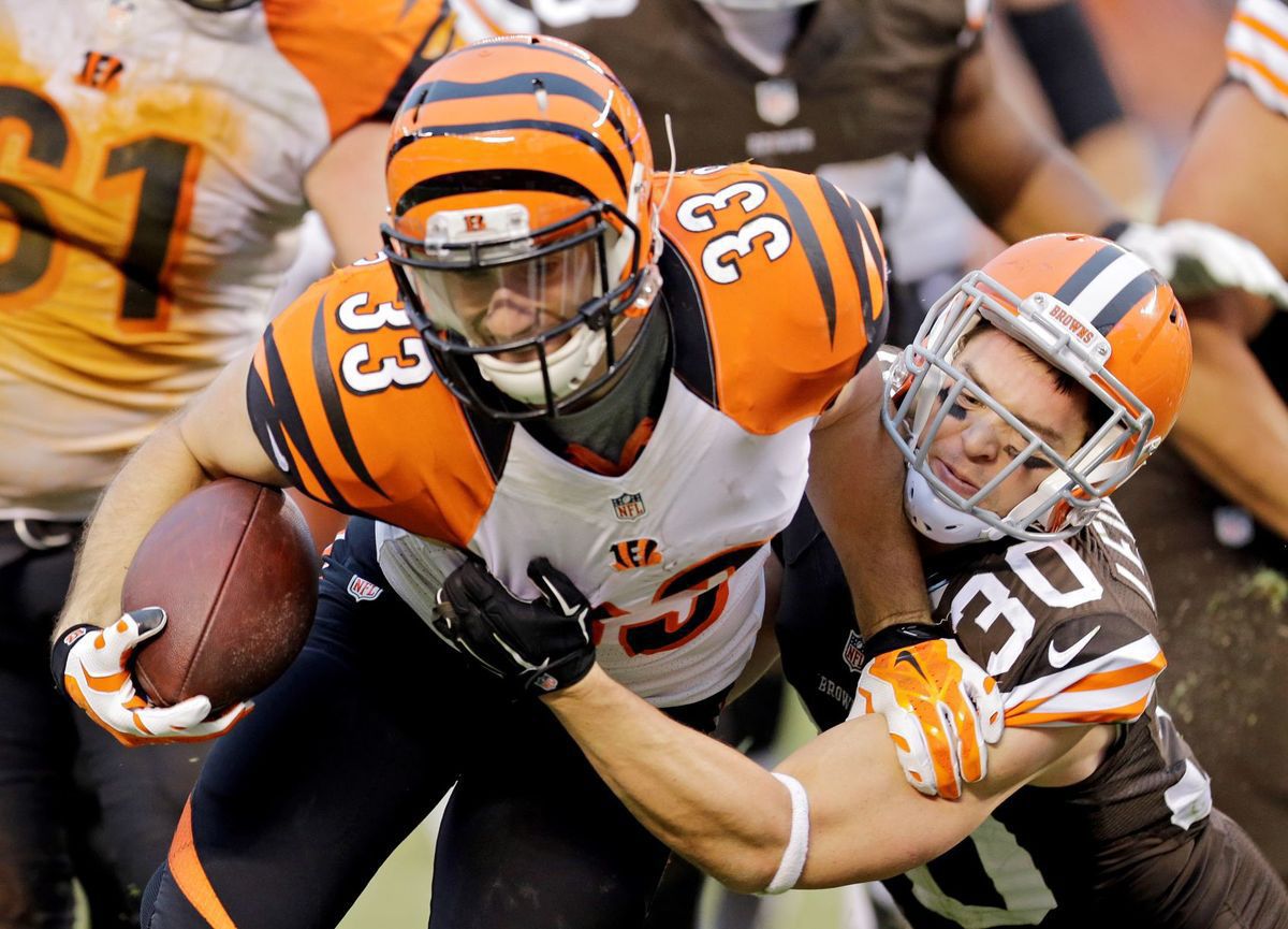 2013 Rex Burkhead